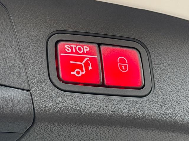 ＥＱＡ ＥＱＡ２５０＋　ＡＭＧラインパッケージ　ＭＰ２０２５０１（6枚目）