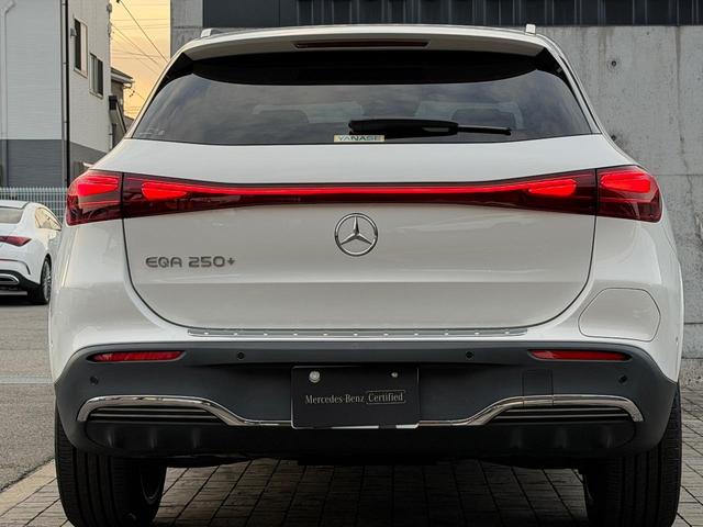 ＥＱＡ ＥＱＡ２５０＋　ＡＭＧラインパッケージ　ＭＰ２０２５０１（16枚目）