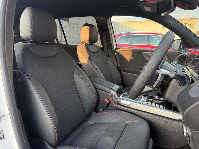 EQB EQB250+ AMGラインパッケージ(8枚目)