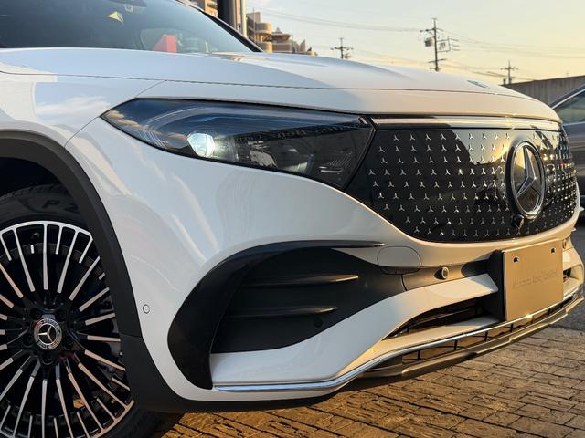 EQB EQB250+ AMGラインパッケージ(13枚目)