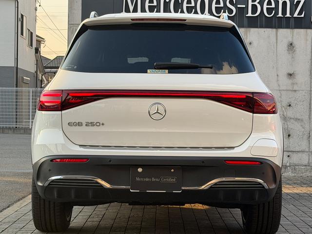 EQB EQB250+ AMGラインパッケージ(16枚目)