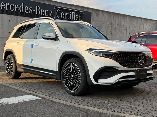 EQB EQB250+ AMGラインパッケージ(17枚目)