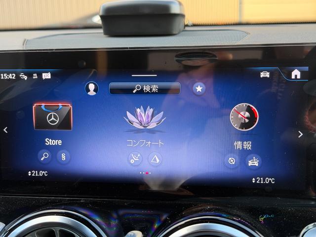 EQB EQB250+ AMGラインパッケージ(24枚目)