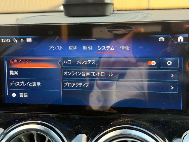 EQB EQB250+ AMGラインパッケージ(29枚目)