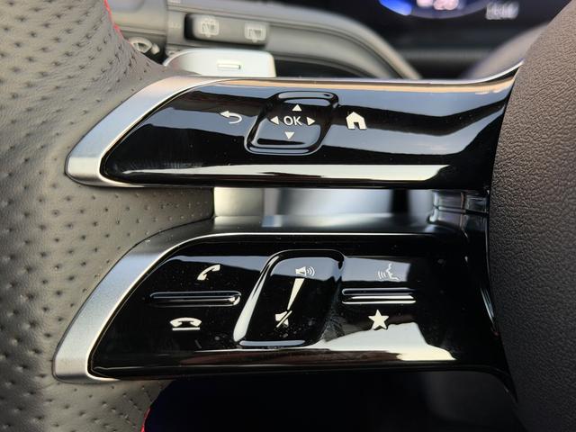 EQB EQB250+ AMGラインパッケージ(38枚目)