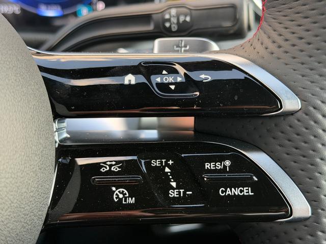 EQB EQB250+ AMGラインパッケージ(39枚目)