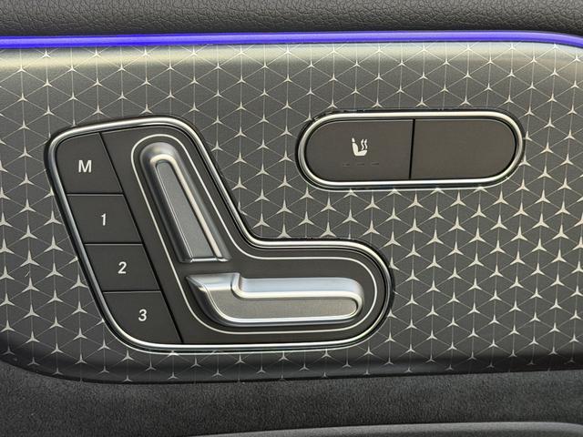 EQB EQB250+ AMGラインパッケージ(43枚目)