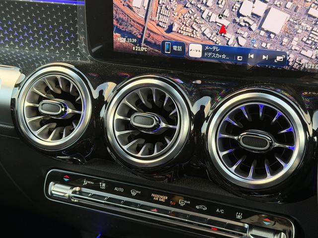 EQB EQB250+ AMGラインパッケージ(47枚目)