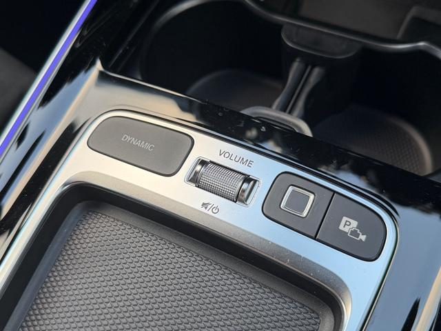 EQB EQB250+ AMGラインパッケージ(50枚目)