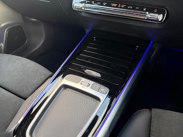 EQB EQB250+ AMGラインパッケージ(51枚目)