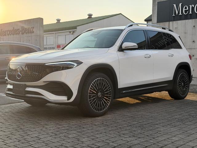 EQB EQB250+ AMGラインパッケージ(59枚目)