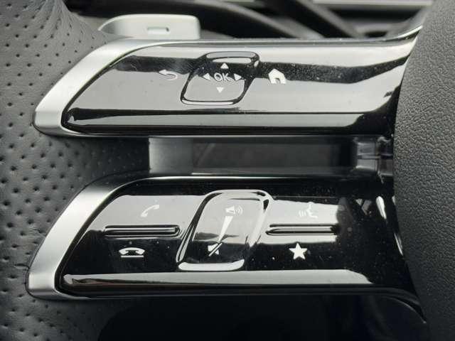 Ｃクラスステーションワゴン Ｃ２２０ｄステーションワゴンアバンギルドＡＭＧライＰ　ＭＰ２０２４０２　ベーシックパッケージ（39枚目）