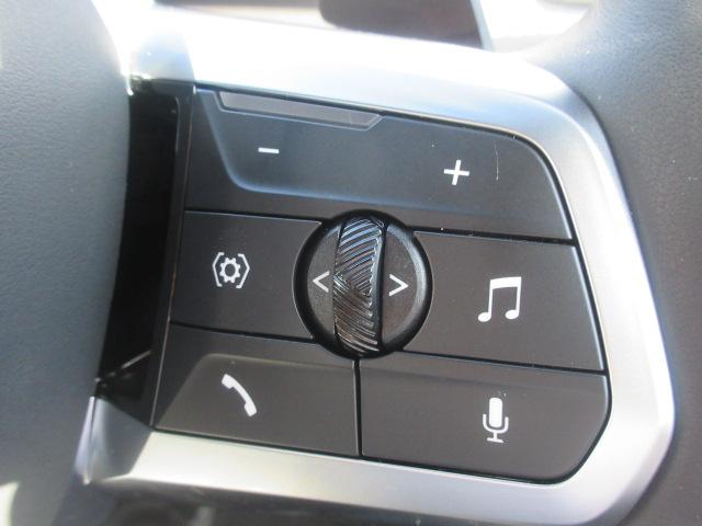 X2 xDrive 20i Mスポーツ ガラスサンルーフ/アップルカープレイ/全方位カメラ/HDU/先進安全装置/デモカー(33枚目)