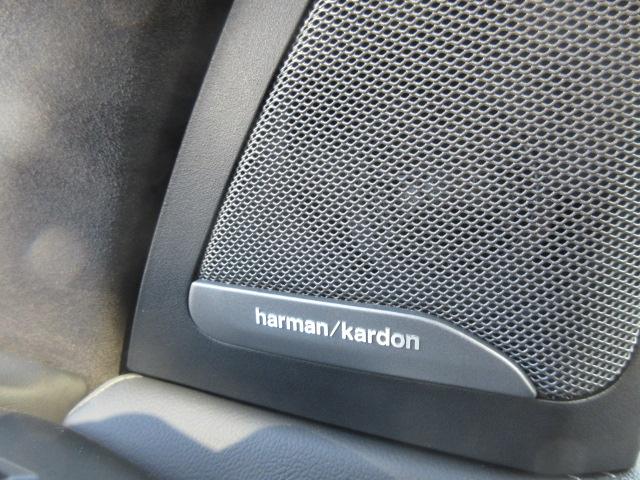 Ｘ７ ｘＤｒｉｖｅ　４０ｄ　Ｍスポーツ　サンルーフ／ベンチレーションシート／ブラックレザーシート／ハンドルヒーター／ハーマンカードン／ソフトクローズドア／純正地デジチューナー／２３ＡＷ／全周囲カメラデモカー（35枚目）