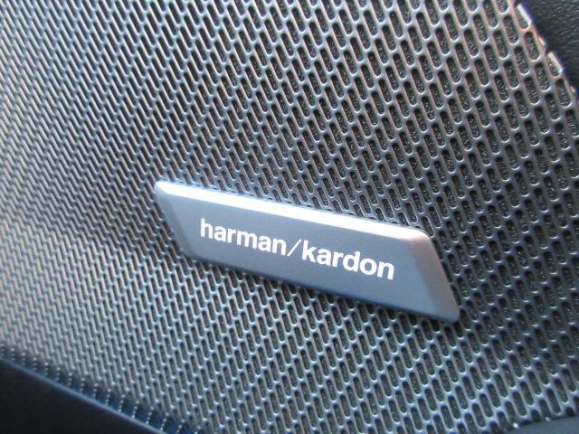 １シリーズ １２０ｄ　Ｍスポーツ　テクノロジーＰＫＧ／全方位カメラ／アップルカープレイ／ハイラインＰＫＧ／ＨＤＵ／ハーマンカードンスピーカー／デモカー（19枚目）