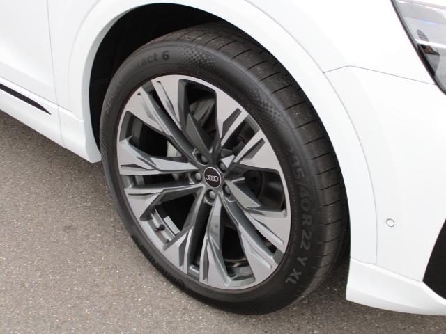 Q8 50TDIquattro S lineP レザーPコンフォートアシスタンスP パノラマサンルーフ ブラックスタイリングP インテリアプラスP OLEDリヤライトドアエントリーライト(10枚目)