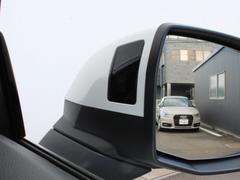 �ѣ����ݡ��ĥХå� �ӥ饤�󡡥����ʥߥå����ǥ�����󡡣��������㡡�������������ץƥ��֥��������ڥ󥷥�� 9200160A30251226W003 3