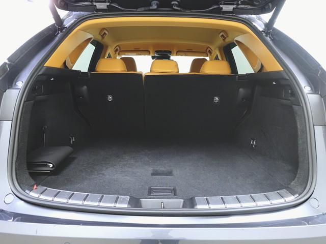 NX NX350h バージョンL シートヒーター シートエアコン パワーシート トランクスルー フロアマット ナビ CD 音楽プレーヤー接続 Bluetooth接続 TV DVD再生 ETC LEDヘッドライト 電動リアゲート(26枚目)