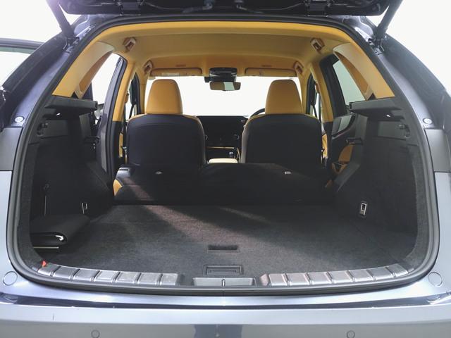 NX NX350h バージョンL シートヒーター シートエアコン パワーシート トランクスルー フロアマット ナビ CD 音楽プレーヤー接続 Bluetooth接続 TV DVD再生 ETC LEDヘッドライト 電動リアゲート(31枚目)