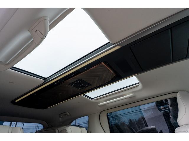 �W�������ɂč��E�Ɨ����[�����[�t�𑕔����Ă���܂��B�V�F�[�h�����ꂼ��g�p�\�ƂȂ��Ă���v���C�o�V�[������܂��B