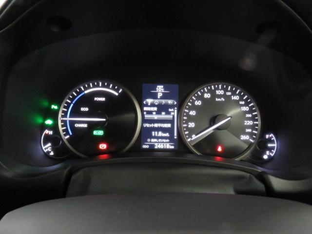 NX300h Iパッケージ(7枚目)