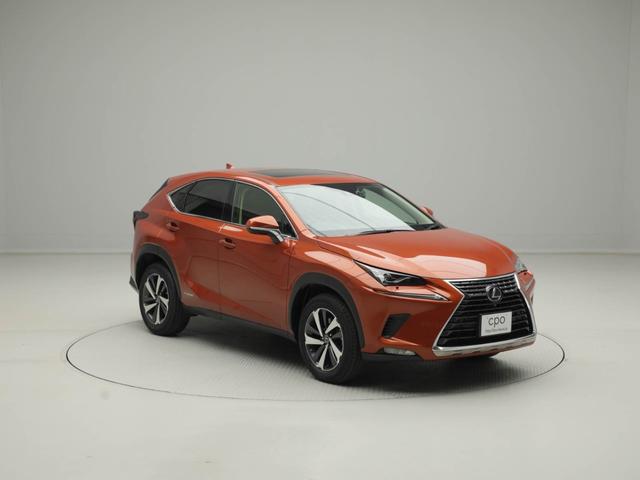 ＮＸ ＮＸ３００ｈ　Ｉパッケージ　ＣＰＯ　レクサス認定中古車　ヘルスブライト抗菌・抗ウイルス施工済　ムーンルーフ　１８インチダークメタリック塗装アルミ　ＩＴＳＣＯＮＮＥＣＴ　パノラミックビューモニター　ブラインドスポットモニター（10枚目）