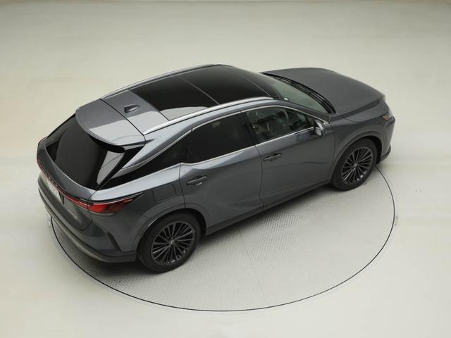 ＲＸ ＲＸ４５０ｈ＋　バージョンＬ　ＲＸ４５０ｈ＋　バージョンＬ（５名）　ＣＰＯ　レクサス認定中古車　輻射ヒーター（運転席・助手席）　パノラマルーフ　ルーフレール（15枚目）