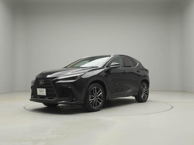 NX NX250 バージョンL CPOレクサス認定中古車 ルーフレール パノラミックビューモニター パーキングサポートブレーキ デジタルインナーミラー ムーンルーフ ドライブレコーダー(2枚目)