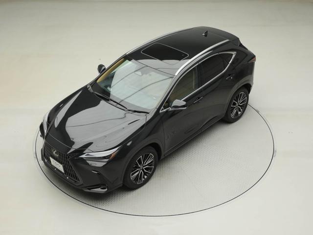 NX NX250 バージョンL CPOレクサス認定中古車 ルーフレール パノラミックビューモニター パーキングサポートブレーキ デジタルインナーミラー ムーンルーフ ドライブレコーダー(10枚目)