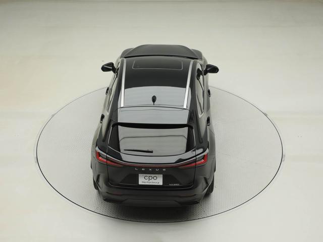 NX NX250 バージョンL CPOレクサス認定中古車 ルーフレール パノラミックビューモニター パーキングサポートブレーキ デジタルインナーミラー ムーンルーフ ドライブレコーダー(13枚目)