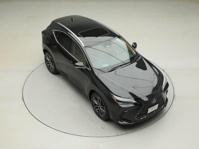 NX NX250 バージョンL CPOレクサス認定中古車 ルーフレール パノラミックビューモニター パーキングサポートブレーキ デジタルインナーミラー ムーンルーフ ドライブレコーダー(16枚目)