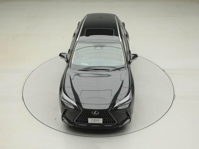 NX NX250 バージョンL CPOレクサス認定中古車 ルーフレール パノラミックビューモニター パーキングサポートブレーキ デジタルインナーミラー ムーンルーフ ドライブレコーダー(17枚目)