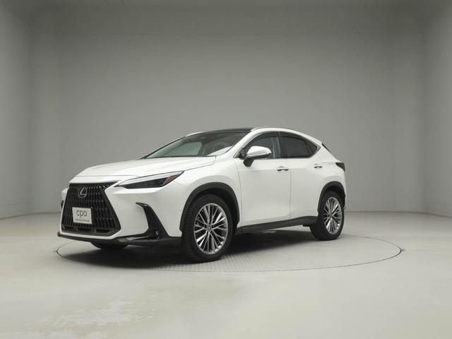 �����������肪�Ƃ��������܂��B���N�T�X�F�蒆�Îԁi�b�o�n�j�Ƃ��č��i���Ȃ��Ԃ��A���񋟂����Ē����Ă���܂��B����A���Ԋm�F�ɂ����X���������B