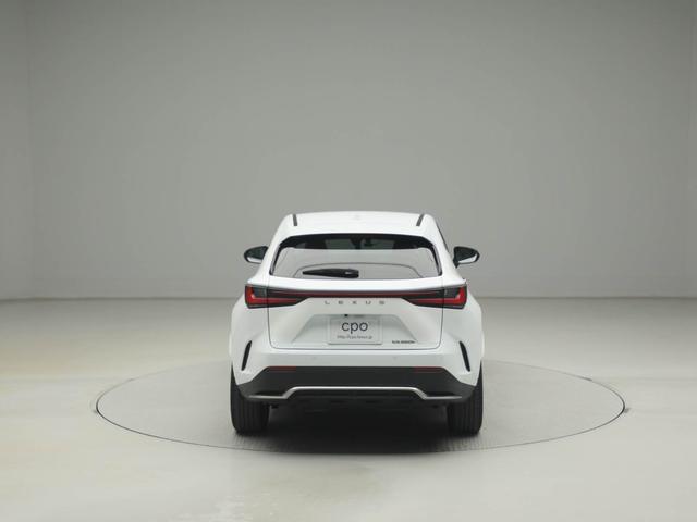 ����A�����X�����A���v�]�Ȃǂ����������������B