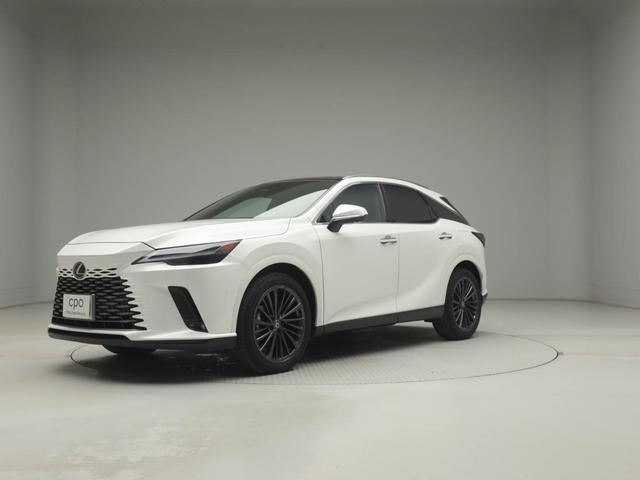 �����������肪�Ƃ��������܂��B���N�T�X�F�蒆�Îԁi�b�o�n�j�Ƃ��č��i���Ȃ��Ԃ��A���񋟂����Ē����Ă���܂��B����A���Ԋm�F�ɂ����X���������B