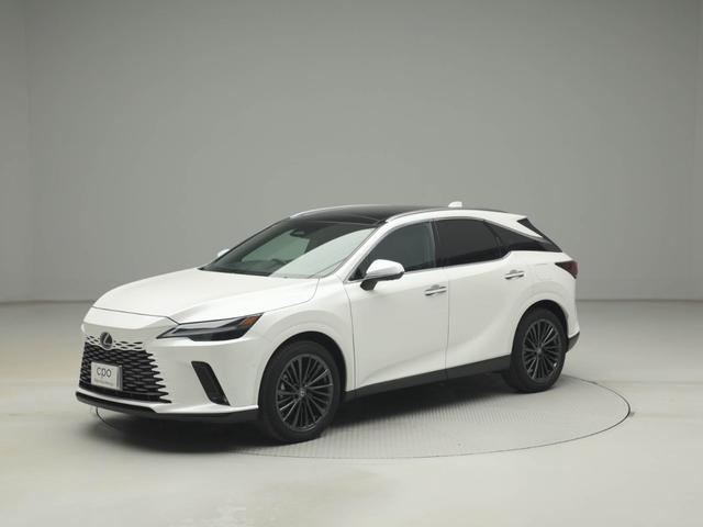 ���̂��Ԃ́u�����ς�v�u�ԗ���ԁv�u�݌ɂ̗L���v�ȂǂȂǁA�C�ɂȂ����琥�񂨖₢���킹�������B�����߂̂��������I�X�X�����܂��B