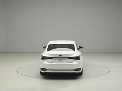 ţ ţӣ衡ãУϡ쥯ǧż֡ϥ󥺥ե꡼ѥȥ󥯥åɡɥХ 9200216A30251111W004 5