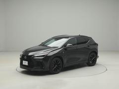 Τ֤Ρ֤Ѥסּξ֡סֺ߸ˤ̵ͭפʤɤʤɡˤʤä䤤碌ΤƤ򥪥ᤷޤ 3