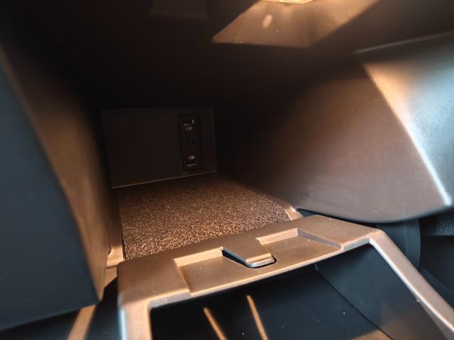 メガーヌ GT アップルカープレイ アンドロイドオートオーディオ バックカメラ スマートキー 衝突被害軽減ブレーキ クルコン パドルシフト 前後ソナー LEDライト 禁煙車(35枚目)