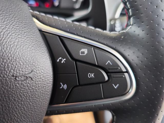 メガーヌ ルノー スポール シートヒーター アダプティブクルコン ブレンボブレーキ 四輪操舵 AppleCarPlay/AndroidAuto対応 ディスプレイオーディオ 前後ソナー(15枚目)