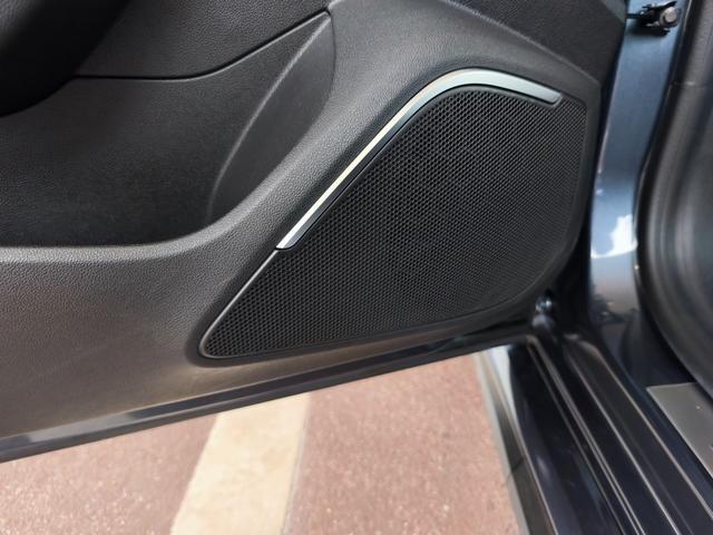 メガーヌ ルノー スポール シートヒーター アダプティブクルコン ブレンボブレーキ 四輪操舵 AppleCarPlay/AndroidAuto対応 ディスプレイオーディオ 前後ソナー(28枚目)