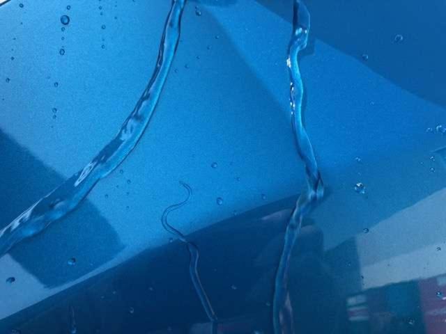 ベルランゴ マックス ブルーHDi 新車保証継承車両/禁煙車/アクティブクルーズコントロール/アップルカープレイ・アンドロイドオート/純正18インチアロイホイール(74枚目)