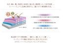 「エクスG」は、高品質のガラス質被膜を3層ボディに形成します。それぞれのガラス層が異なった特性を持ち、光沢や輝き、持続性や汚れから守る性能など、求められる機能全てにおいて、卓越した効果を発揮します。