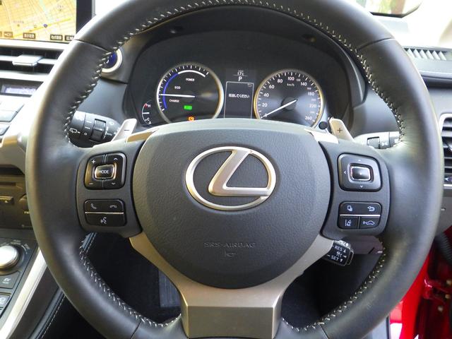 NX300h Iパッケージ 内装色 ホワイトオーカー(12枚目)