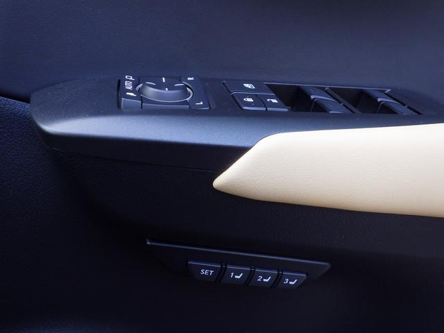 NX300h Iパッケージ 内装色 ホワイトオーカー(16枚目)
