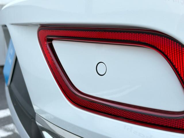 T-ロック TDI 4モーション スタイル IQ.LIGHT(16枚目)