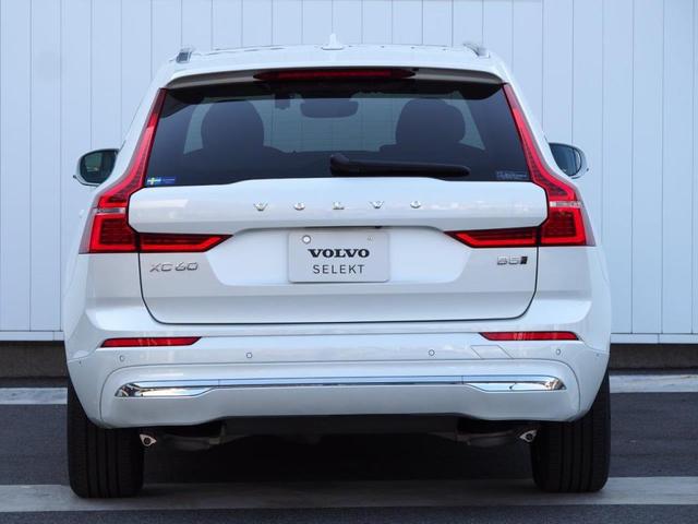 ��ڂŃ{���{�Ƃ킩�鎋�F���̍����c���̃e�[�����C�g�B