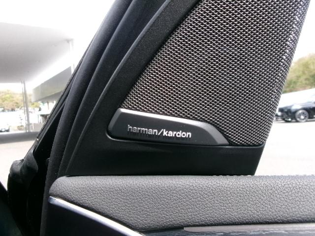 Ｘ３ ｘＤｒｉｖｅ　２０ｄ　Ｍスポーツ　ハンドルヒーター　リアシートヒーター　全周囲カメラ　地デジ　アクティブクルーズコントロール　オートマチックテールゲート　２０ＡＷ　禁煙　デモカー（35枚目）