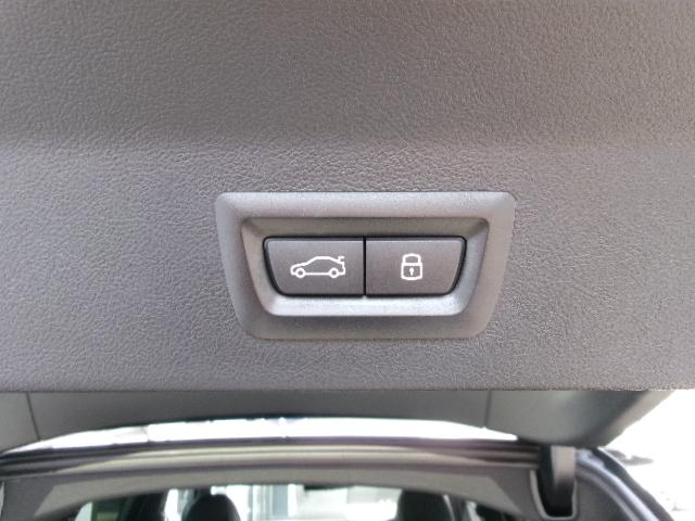 Ｘ３ ｘＤｒｉｖｅ　２０ｄ　Ｍスポーツ　ハンドルヒーター　リアシートヒーター　全周囲カメラ　地デジ　アクティブクルーズコントロール　オートマチックテールゲート　２０ＡＷ　禁煙　デモカー（42枚目）