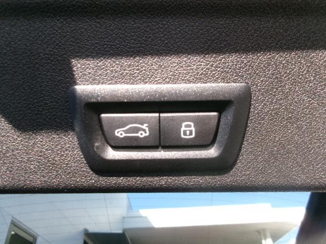 X6 xDrive 35d Mスポーツ 22AWスポーツPKG黒革カーボントリムカーボンミラーカバーハーマンカードンカーブドディスプレイ純正HDDナビゲーション全方位カメラデモカー認定中古車(46枚目)